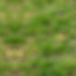 banner-csr1