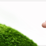 banner_social